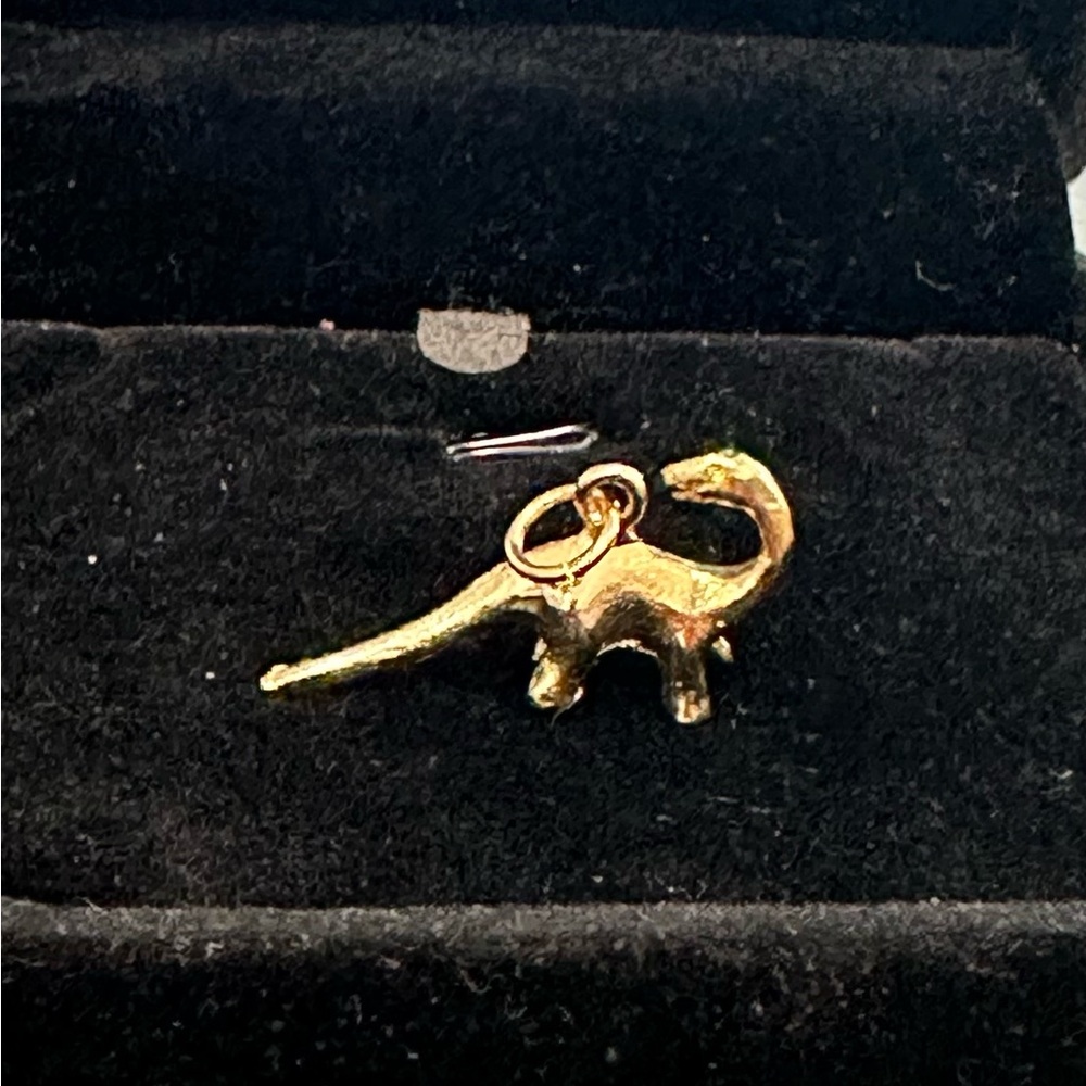 Dinosaur 🦕 Charm 9kt Gold Plated